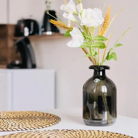 Apartment Sh-apartment Petra *zentral & Stilvoll* Erfurt